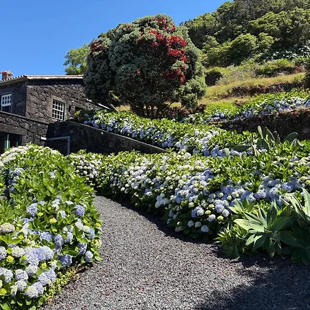 Casa Do Jardim